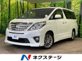 フリップダウンモニター BIGX9型ナビ バックカメラ 両側電動スライド