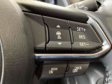 レーダークルーズコントロールを装備。アクセルやブレーキを操作しなくても、自動で先行車との車間距離を保ち追従走行できます。長距離や高速道路を運転する際に、ドライバーへの負担を軽減します。