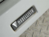 MODELLISTAのフロントスポイラーが装備されてます。