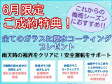 ハスラー X 