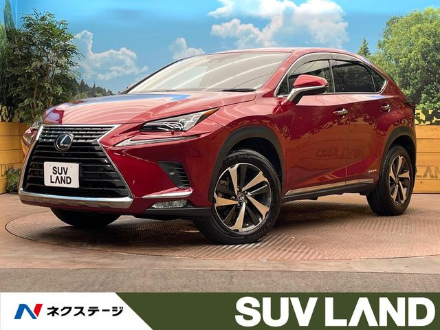 NX 300h Iパッケージ