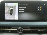プロパイロットパーキング &プロパイロットリモートパーキング付きになります。