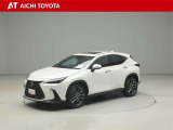 NX 250 バージョンL NX 250 バージョンL