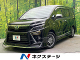 禁煙車 寒冷地仕様 モデリスタフルエアロ フリップダウンモニター