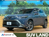 10型ナビフルセグ バックカメラ レーダークルーズ ハンズフリーパワーバ