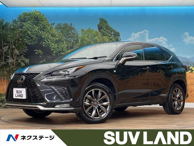 NX 300h Fスポーツ
