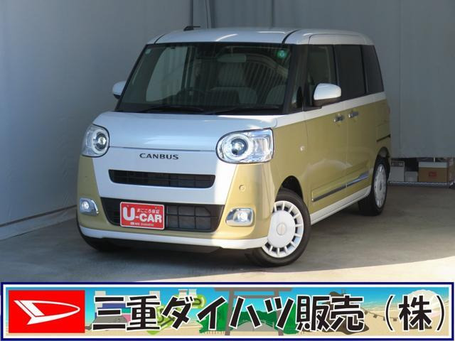 ムーヴキャンバス  ストライプス G