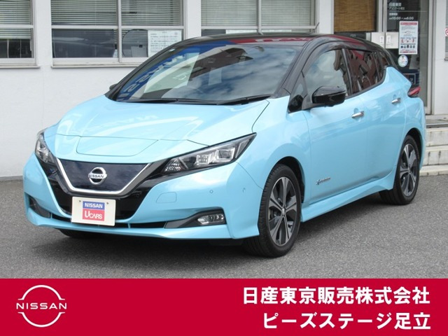 リーフ G