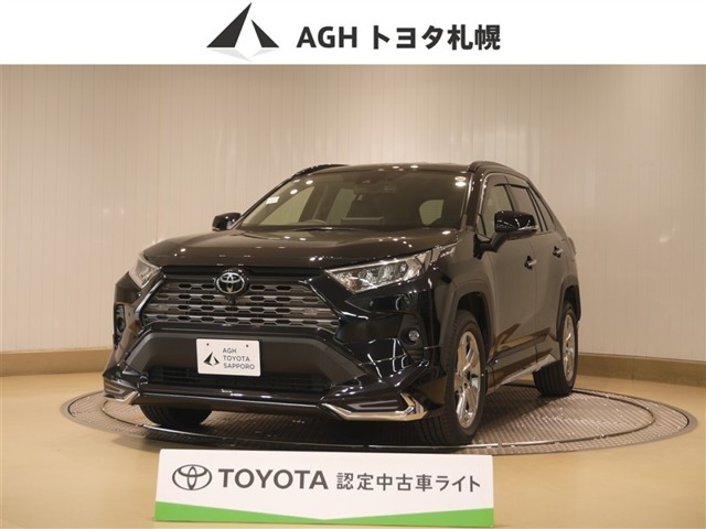 RAV4 2.0 G 4WD（6BA-MXAA54）
