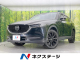 純正10型ナビ 全周囲カメラ 衝突被害軽減システム レーダークルーズ