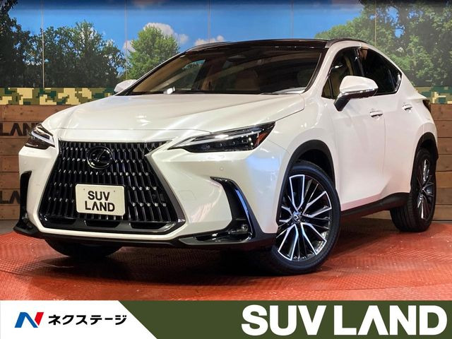NX 250 バージョンL
