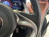 ステアリングの応答性向上のためにスイッチ類は装備していません。大型のパドルスイッチが見えます。