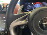 ステアリングの応答性向上のためにスイッチ類は装備していません。大型のパドルスイッチが見えます。
