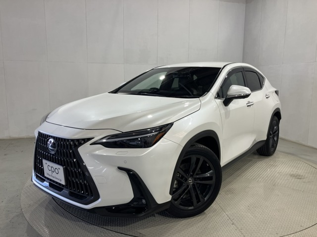 NX 250 バージョンL NX 250 バージョンL