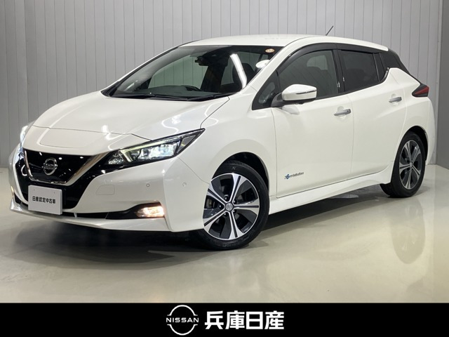 リーフ G