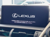 NX 300h Fスポーツ 