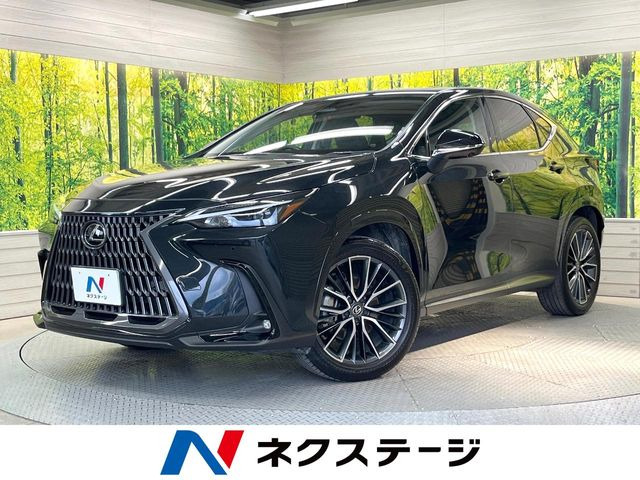 NX350h