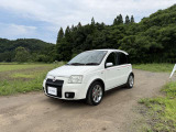 遠目で見るとコロンとして可愛いです