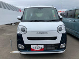 ムーヴキャンバス  ストライプス G