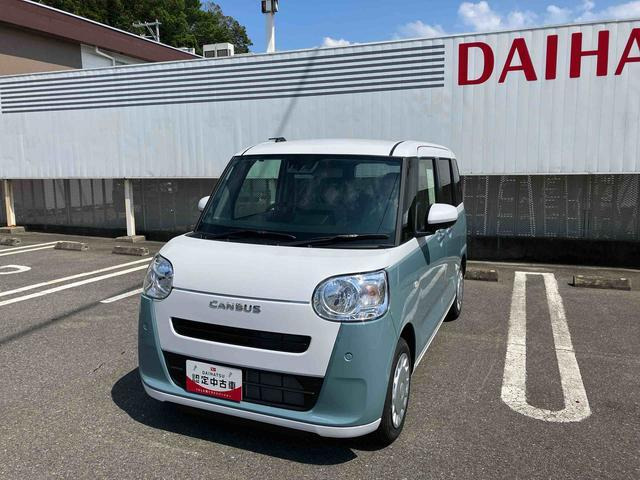 ムーヴキャンバス  ストライプス X