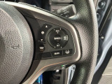 クルーズコントロールを装備しています。高速道路などで一定の速度で走ってくれるので運転が楽ですよ!速度を設定できますので、スピードの出しすぎにも注意できます。
