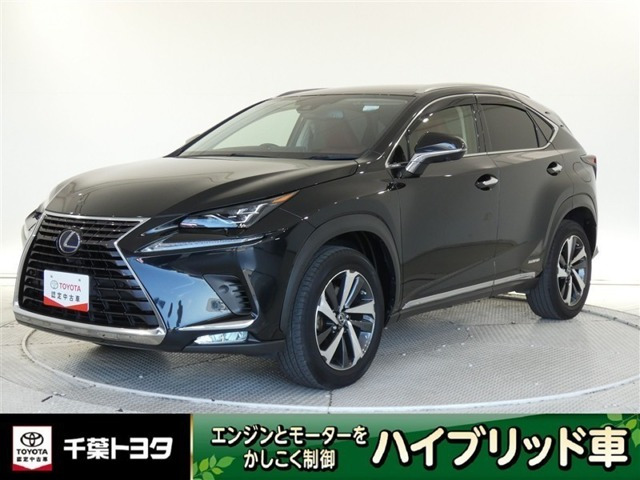 NX300h バージョンL 4WD