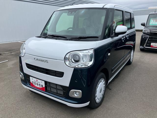 ムーヴキャンバス  ストライプス G