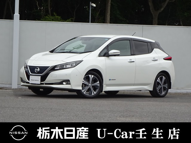 リーフ G