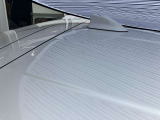 ルーフに、1cm〜5cmほどのへこみが複数ある車両となっております。
