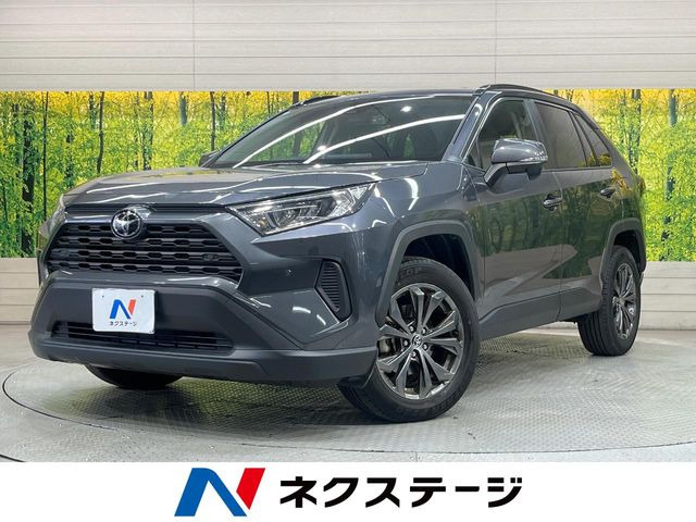 RAV4 2.0 X 