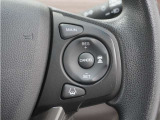 ◆アダプティブクルーズコントロール◆予め設定した車速内でクルマが自動的に加減速。前走車との適切な車間距離を維持しながら追従走行します。【LKAS】車線維持支援システムでステアリング操作を支援。