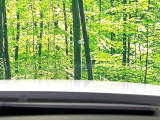 【カラーヘッドアップディスプレイ】現在の速度や走行情報をデジタル表示で運転席前方のガラスに投影!カラー付きで視認性も高く、運転中目線をずらさず必要な情報を確認できるのでとっても便利で安心!
