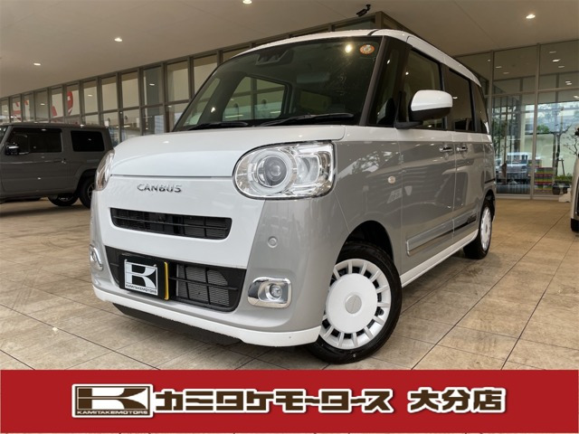 ムーヴキャンバス  ストライプス G