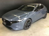 斜め45度のスタイリッシュな顔立ち