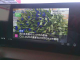 駐車中はTVも見れます。