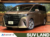 両側電動ドア 後席モニター 全周囲カメラ 100V電源 衝突被害軽減