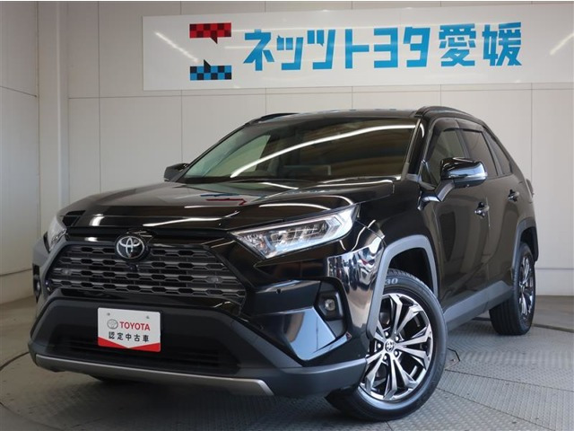RAV4 2.0 G 4WD