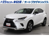 NX300h スパイス&シックが入庫しました。