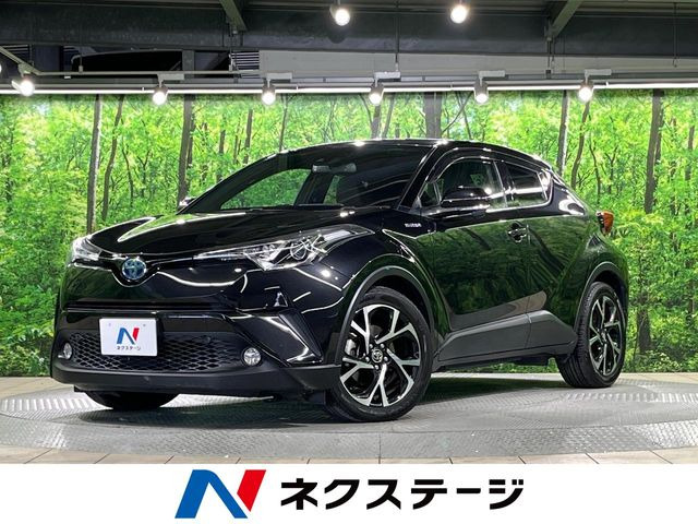 C-HR  G