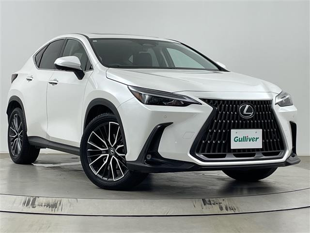 NX250本革シート サンルーフ