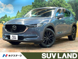 禁煙車 10型ナビ 全周囲カメラ レーダークルーズ 電動リアゲート