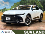 禁煙 12型ディスプレイ 全周囲カメラ AC100V電源 電動バックドア