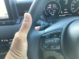 マニュアル車のような感覚で、ワインディングロードでも車を操れるパドルシフト付きです。長い下り坂でのエンジンブレーキや、高速道路の合流の際の加速も思いのままに操ることができ楽しめます