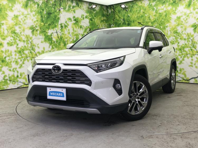 RAV42.0 G Zパッケージ 4WD