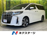 純正10型ナビ バックカメラ セーフティセンス レーダークルーズ 禁煙車