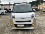 ムーヴキャンバス  ストライプス G