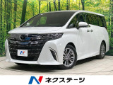 ガラスルーフ 純正14型ナビ 後席モニター 全周囲カメラ 100V電源