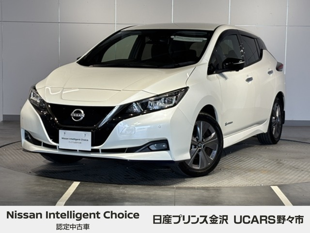 リーフ e+ アーバンクロム