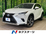 100V電源 セーフティシステムプラス レーダークルーズ 禁煙車