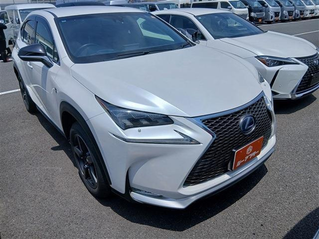 NX300h Fスポーツ 4WD